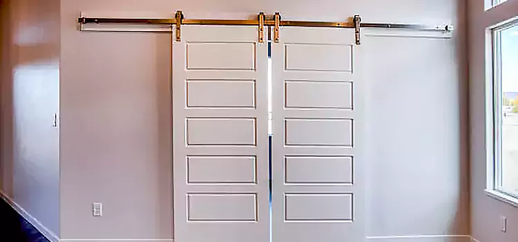 Glass Barn Door with Installation Hardware Kit Drexel Heights
