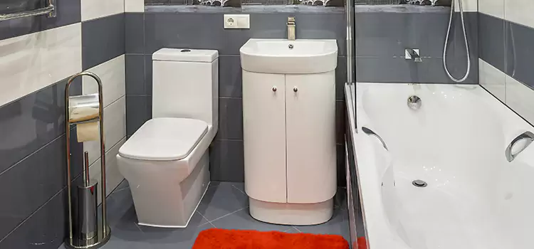 Hansgrohe Shaving Mirror Drexel Heights